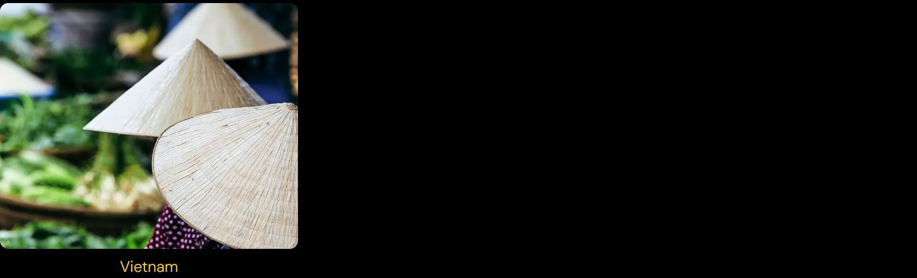 A woman wearing a conical hat is standing in front of a bunch of vegetables.