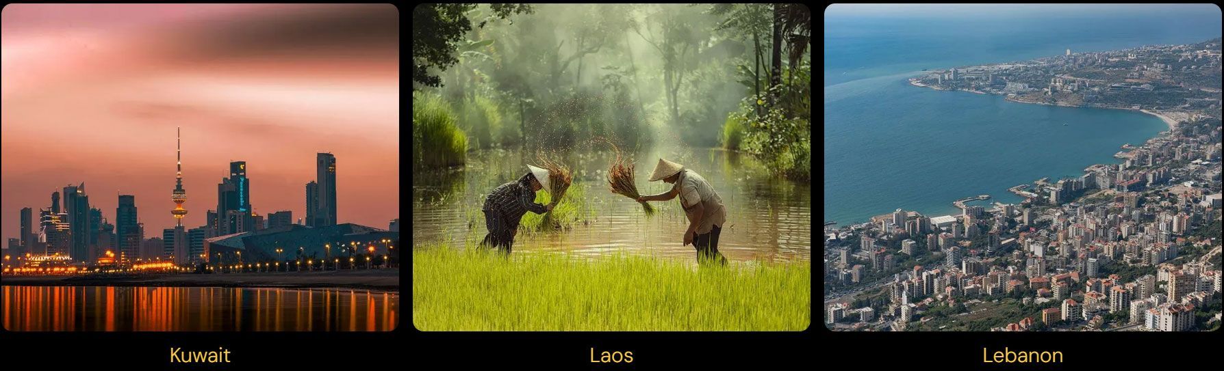 A picture of a city , a picture of a bear , and a picture of a lake.