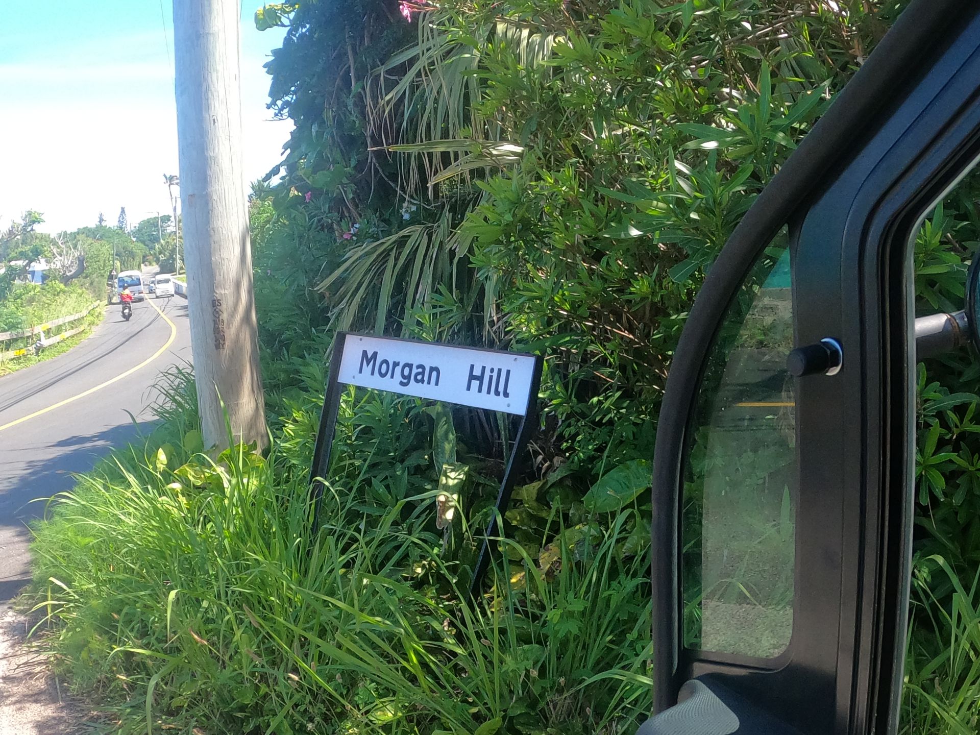 Sign for Morgan Hill on a roadside with lush green vegetation and a passing car.