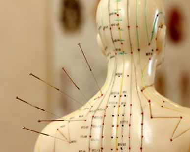 harvmitacupuncture