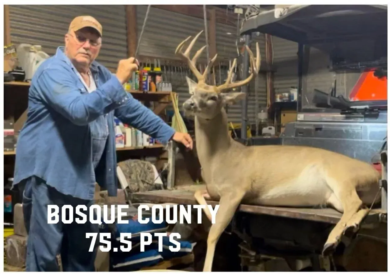 Bosque County 75.5 PTS — Clifton, TX — Clifton Feed and Service