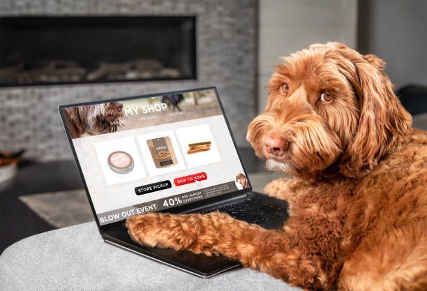 Labradoodle dog paws on laptop shopping pet food delivery online