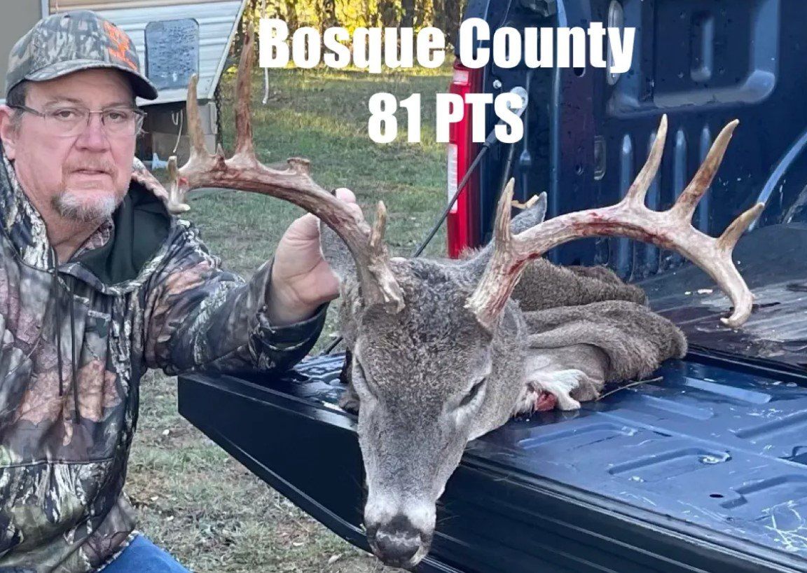 A man is holding a deer in the back of a truck.