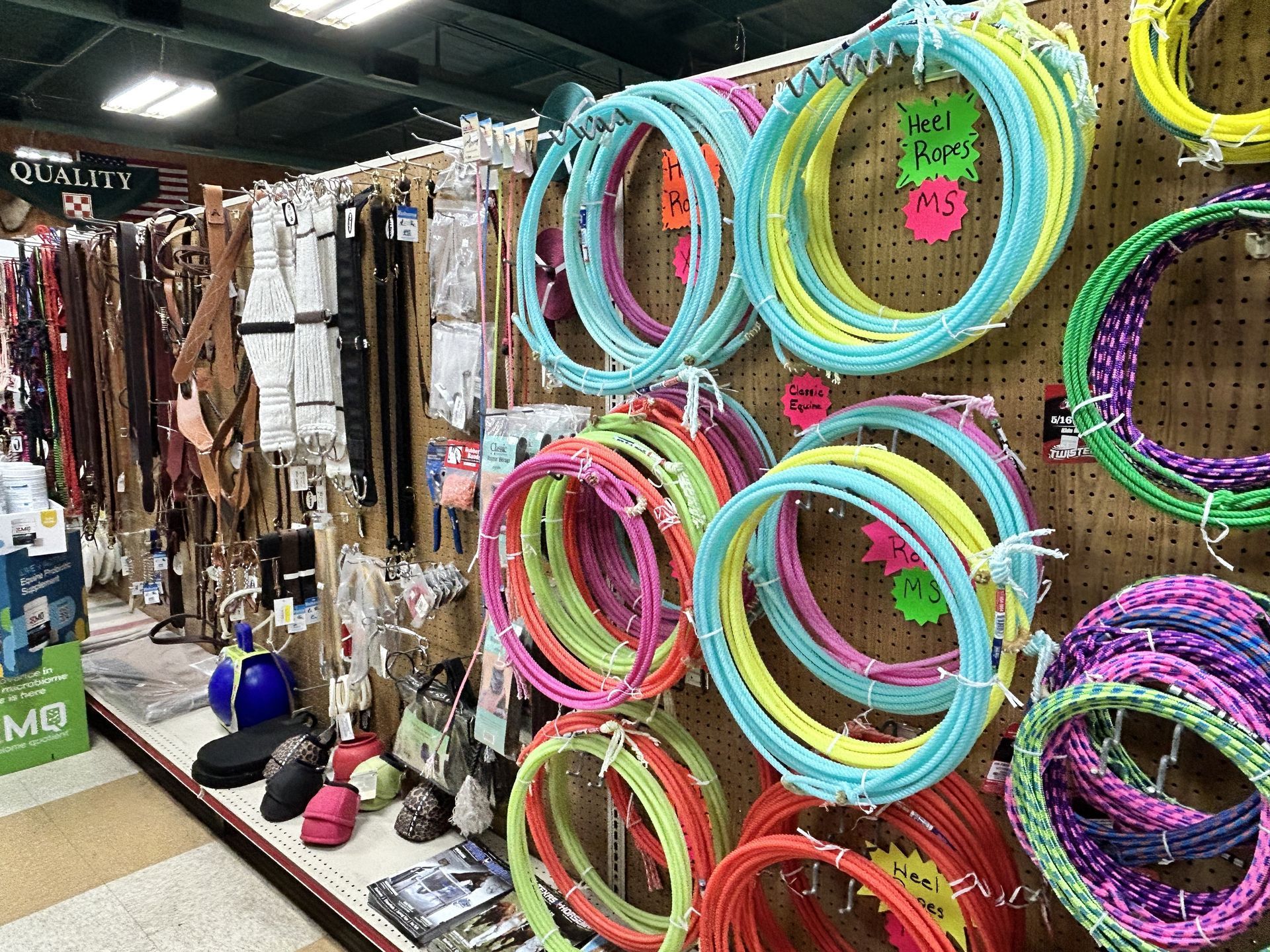 A bunch of hula hoops are hanging on a wall in a store.