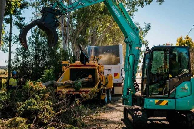 Mulching a Branch of A Tree with A Colour Blue Excavator | Toowoomba, Qld | Gts Toowoomba