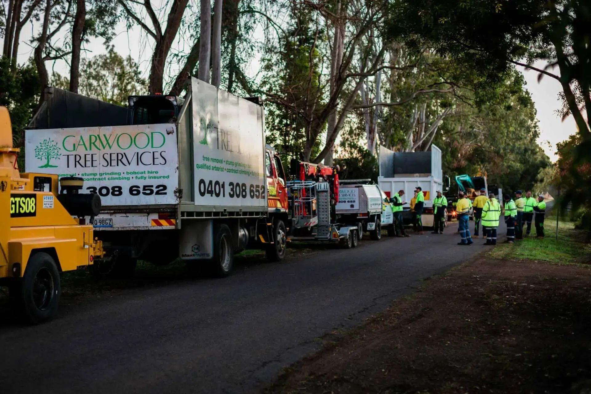 Many Workers and Trucks Ready for Cutting a Tree | Toowoomba, Qld | Gts Toowoomba