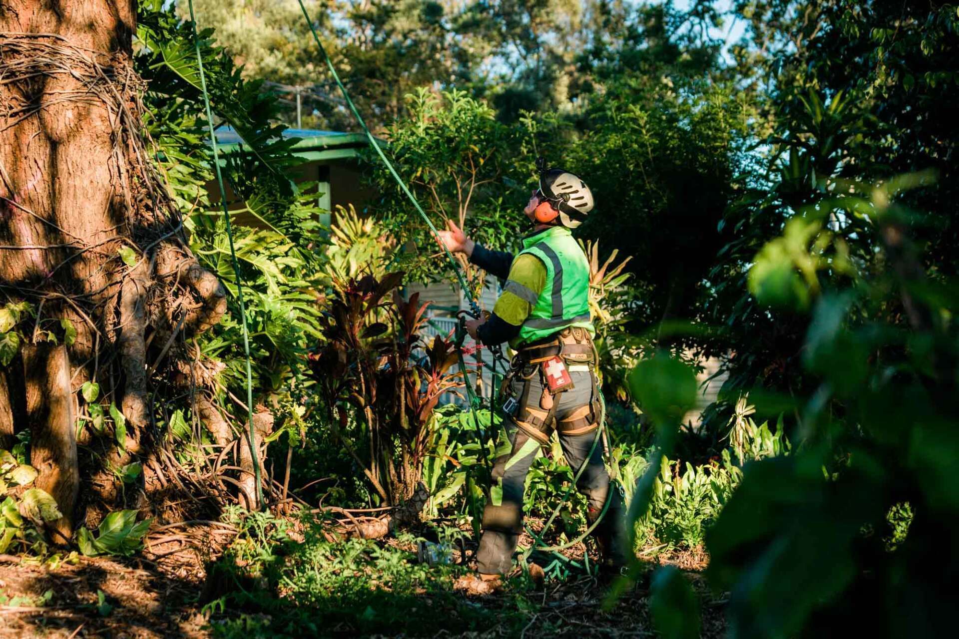 A Man Look up | Toowoomba, Qld | Gts Toowoomba