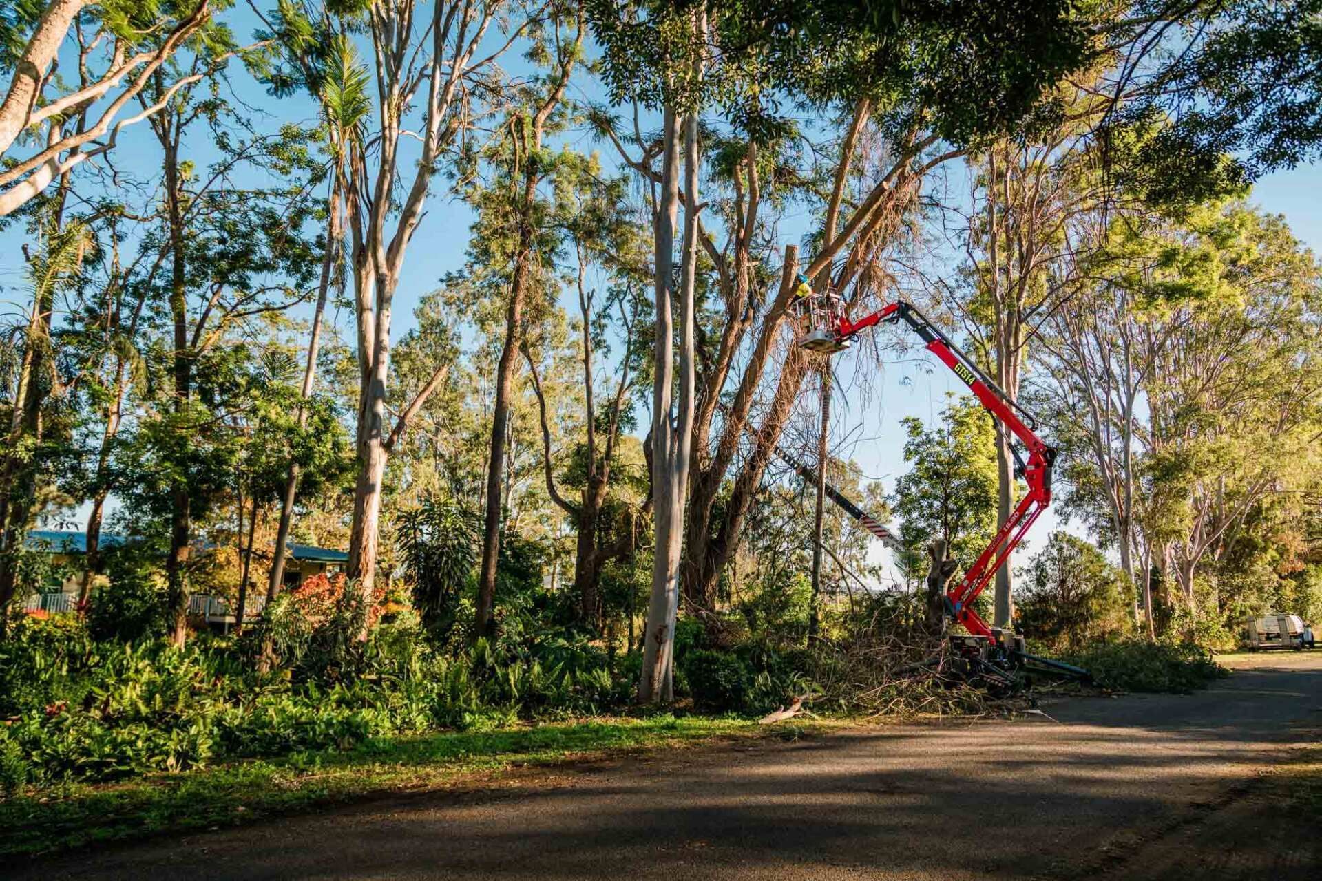 Heavy Lifting Equipment Used for Cutting Tree | Toowoomba, Qld | Gts Toowoomba