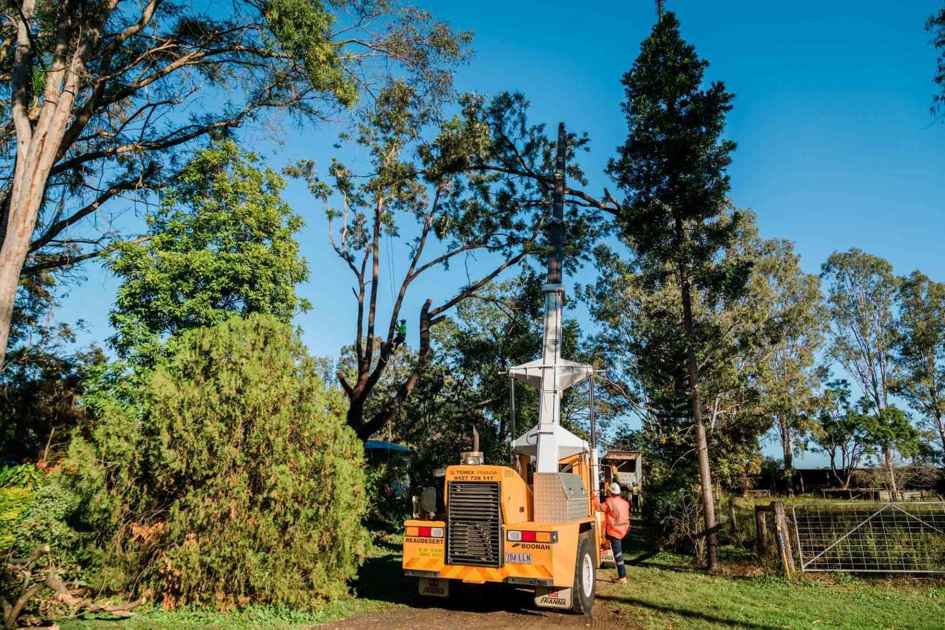 Heavy Equipment Crane on A Forest | Toowoomba, Qld | Gts Toowoomba