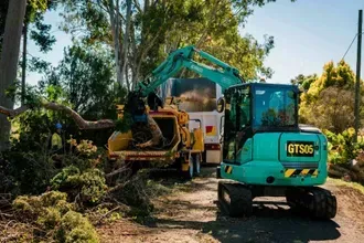 Tree Stump Grinding | Toowoomba, Qld | Gts Toowoomba