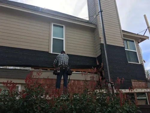 Person on a ladder repairs house siding, beige above black. Red shrubs in foreground, chimney on right.