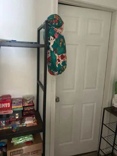 A hat is hanging on a rack next to a door in a room.