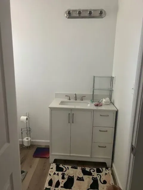 A bathroom with a sink and a rug with cats on it.