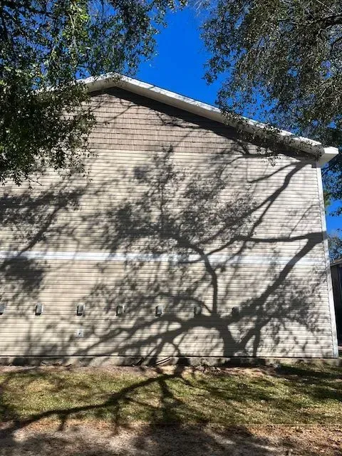 The shadow of a tree is cast on the side of a house.