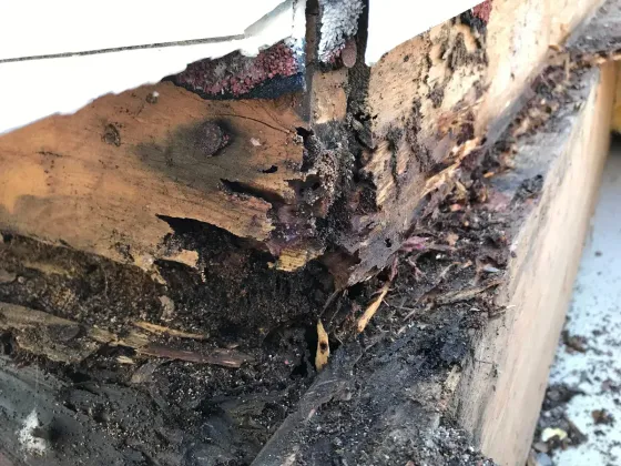 A person is cutting a hole in a piece of wood.
