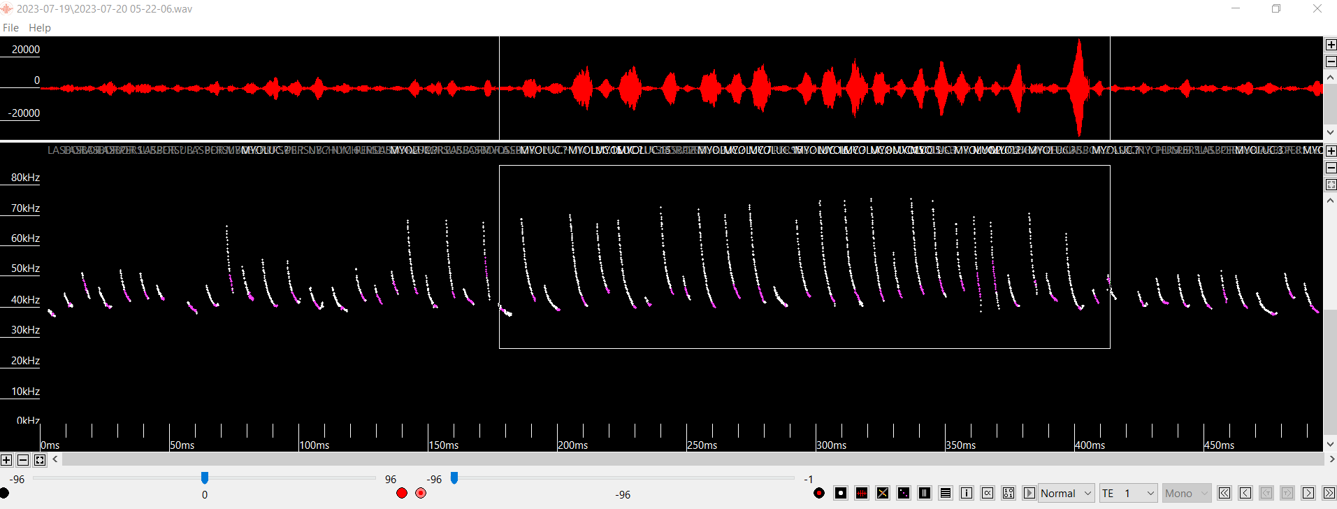 This is a screenshot of acoustic bat call data for an eastern red bat.