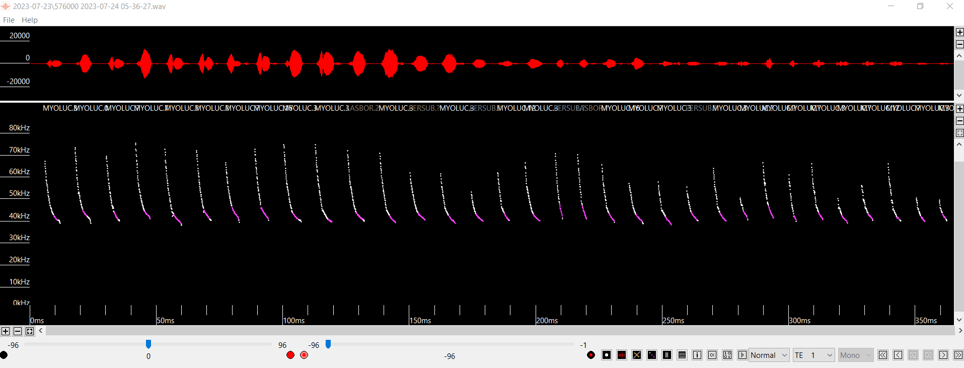 This is a screenshot of acoustic bat call data for a little brown bat.