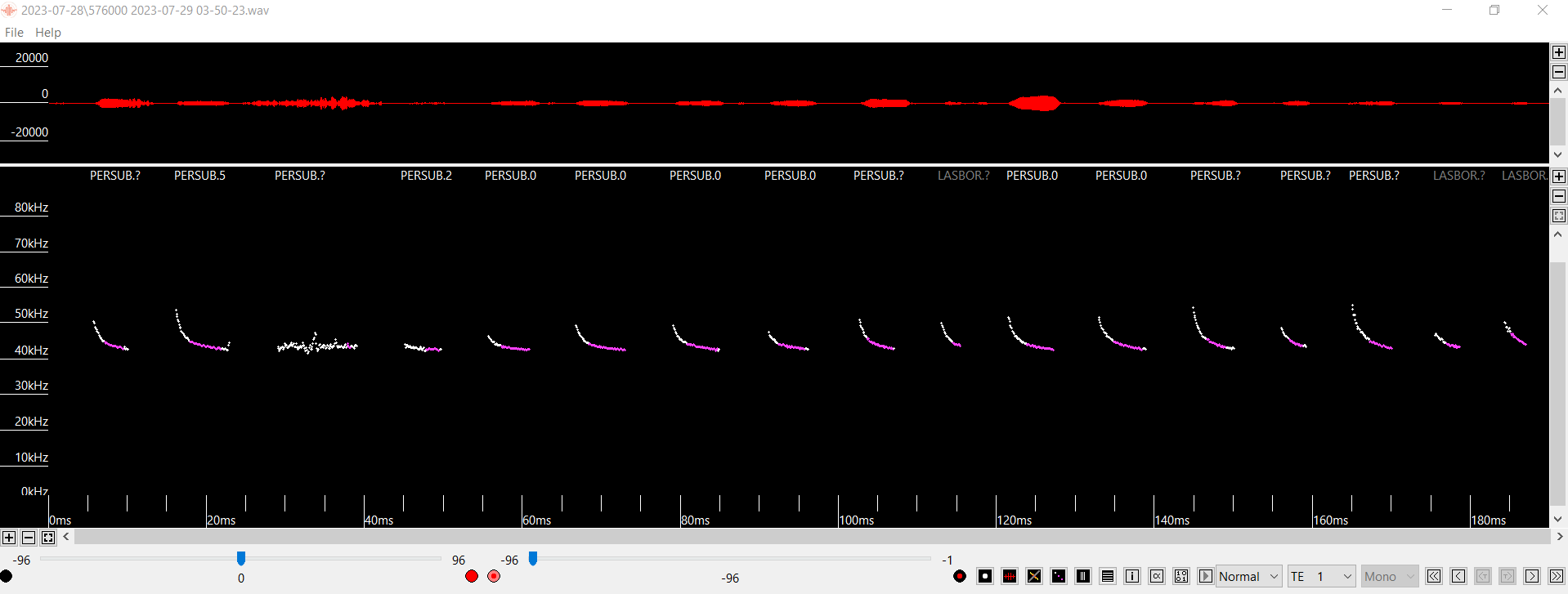 This is a screenshot of acoustic bat call data for a tricolored bat.