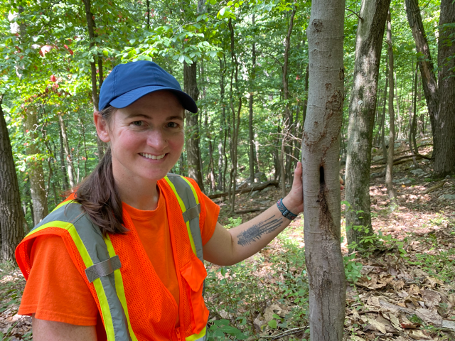 This is a photo of a woman in an orange safety vest leaning on a tree in a forest.