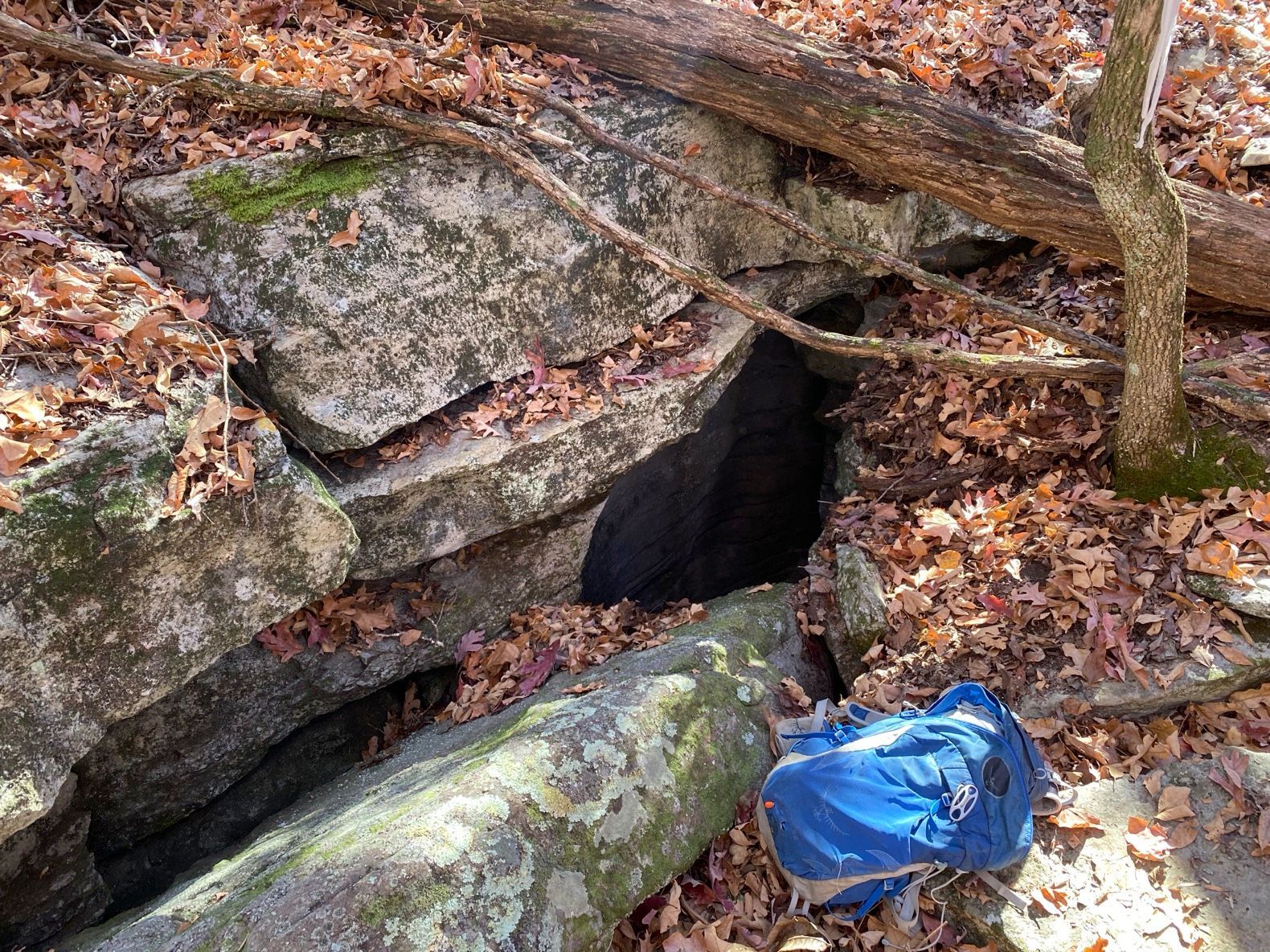 The image shows a potential bat hibernaculum with a blue backpack in front of the cave opening.