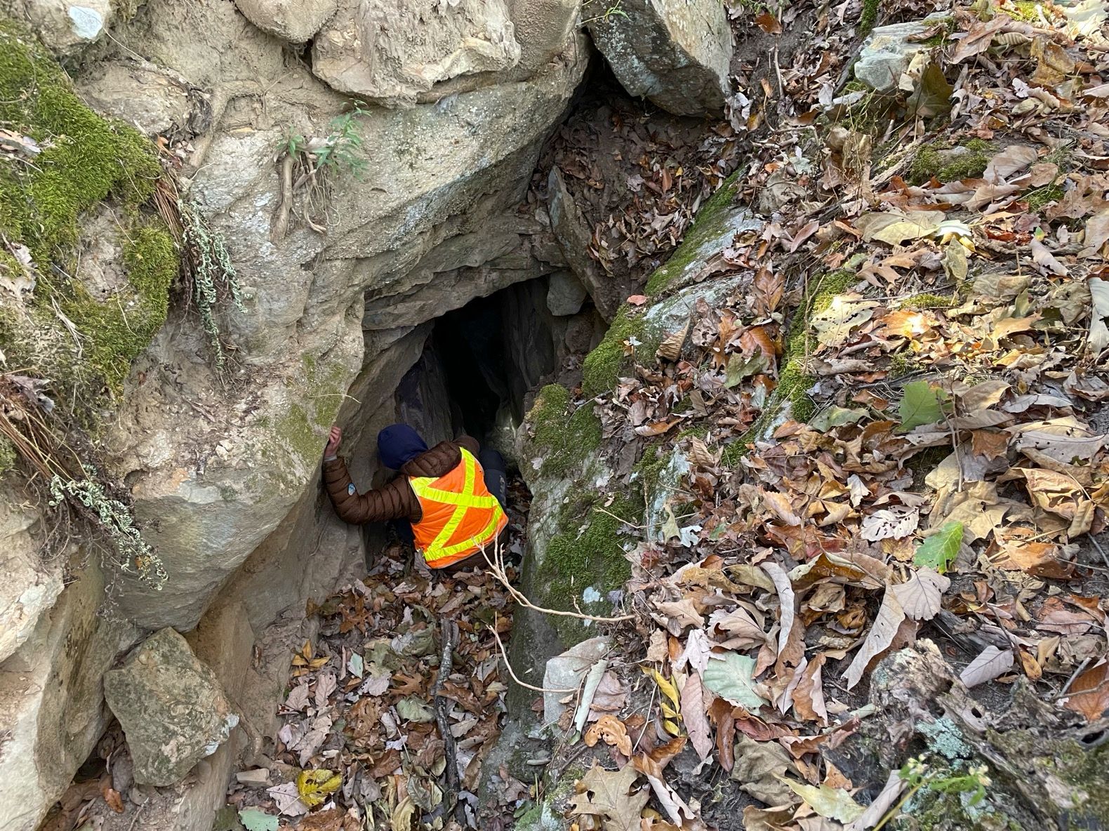 Bat hibernaculum portal assessment - Volant EcoServices