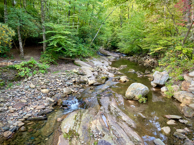 This is an image of a stream with a rocky stream bed, lined by trees with green leaves.