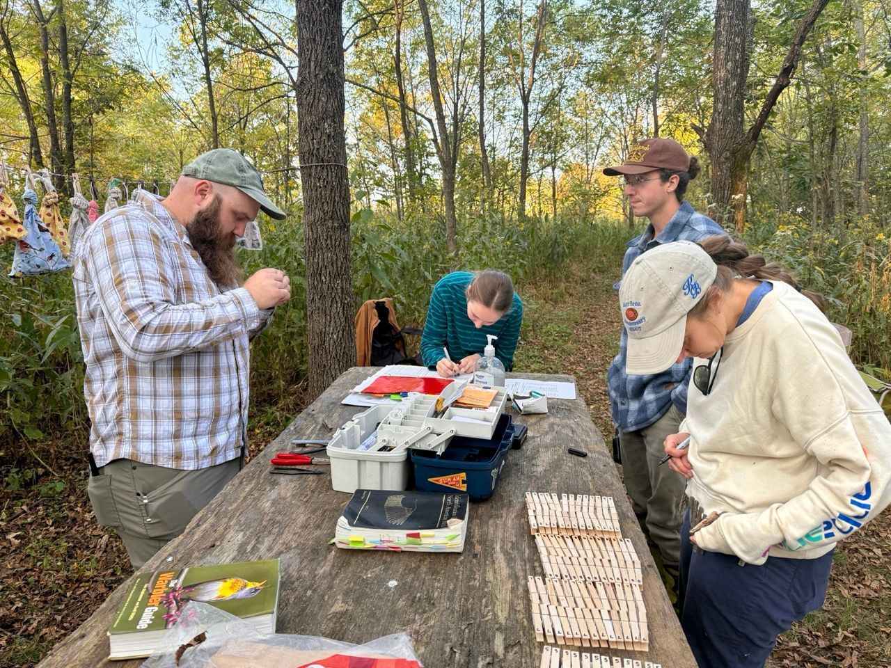 Group of biologists working with birds at a MAPS Station.