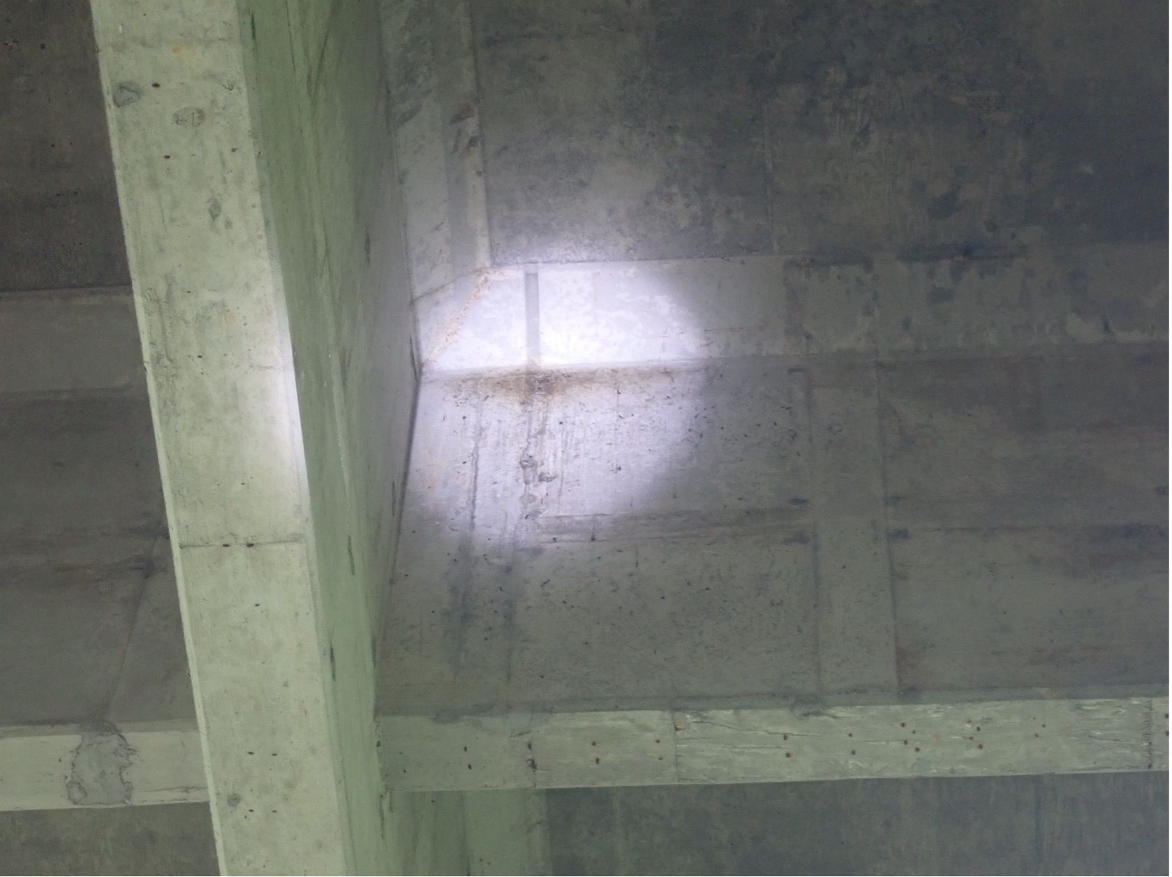 bat body staining found on bridge deck- bridge bat survey - Volant EcoServices