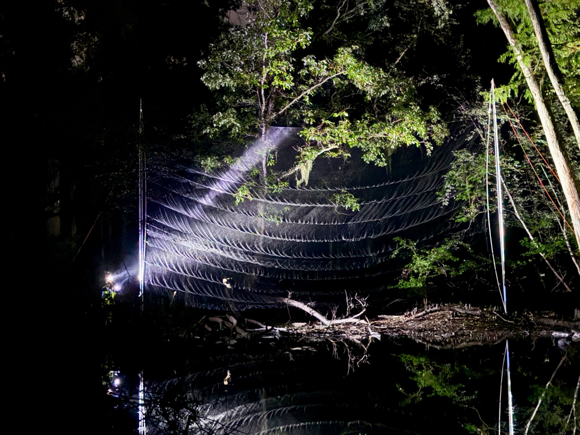 bat mist-net survey conducted by Volant EcoServices
