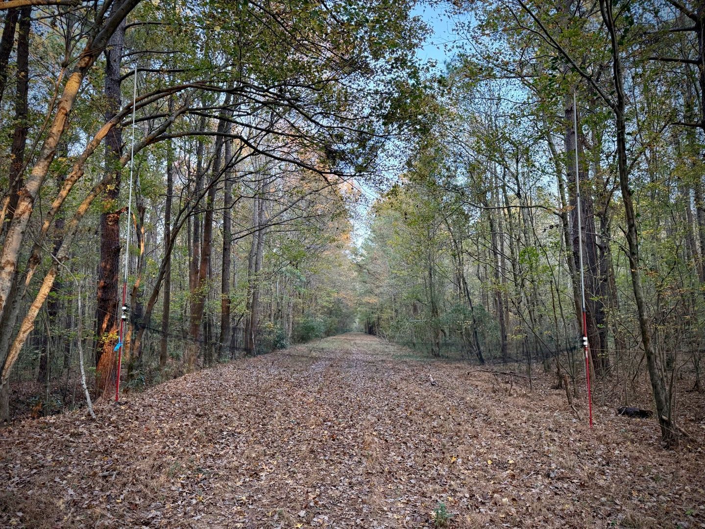 Bat mist-net survey - Volant EcoServices