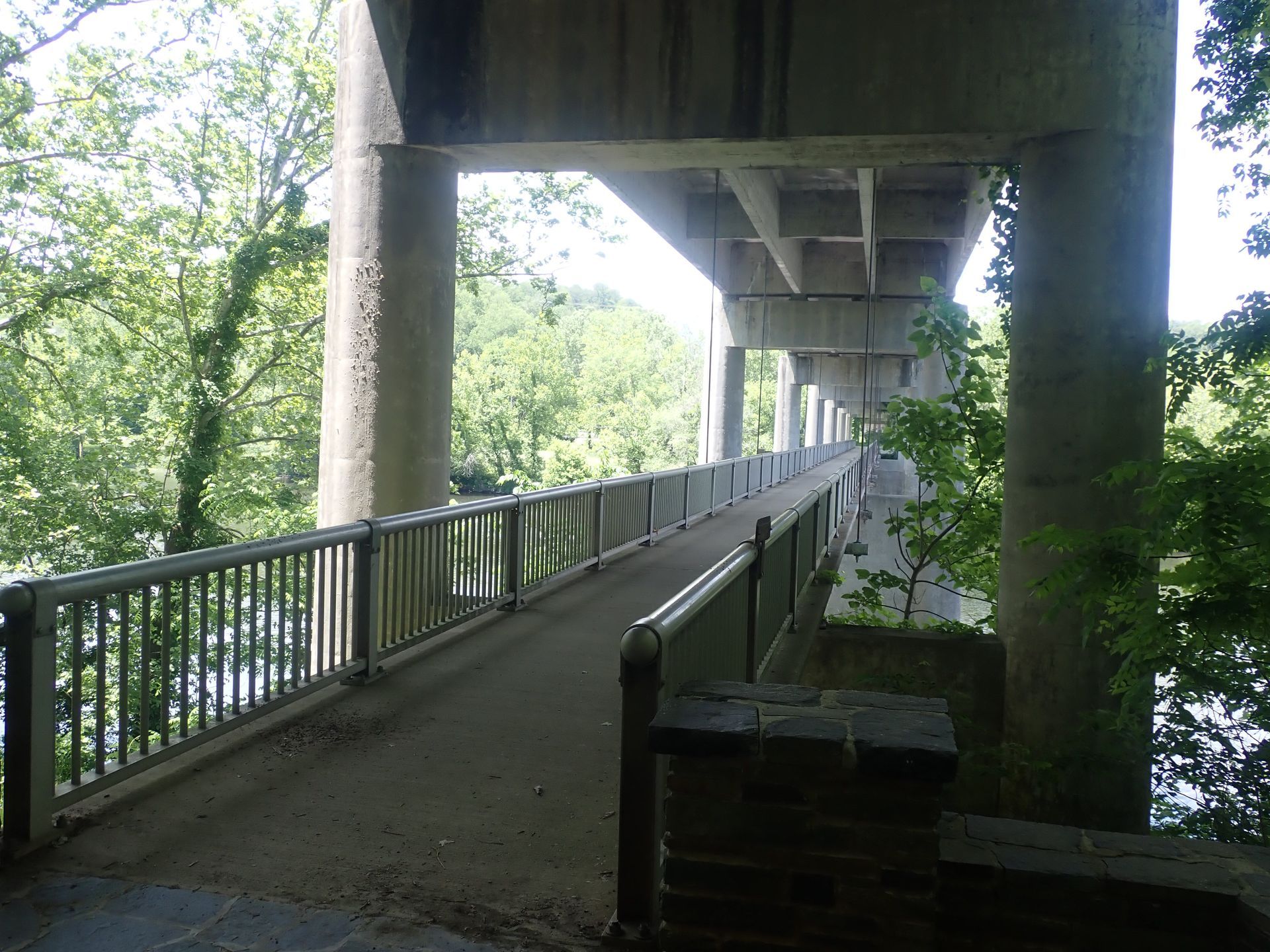 Bridge bat survey - Volant EcoServices