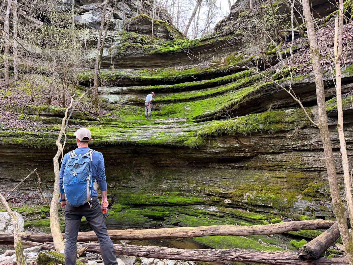 bat hibernacula survey - Volant EcoServices