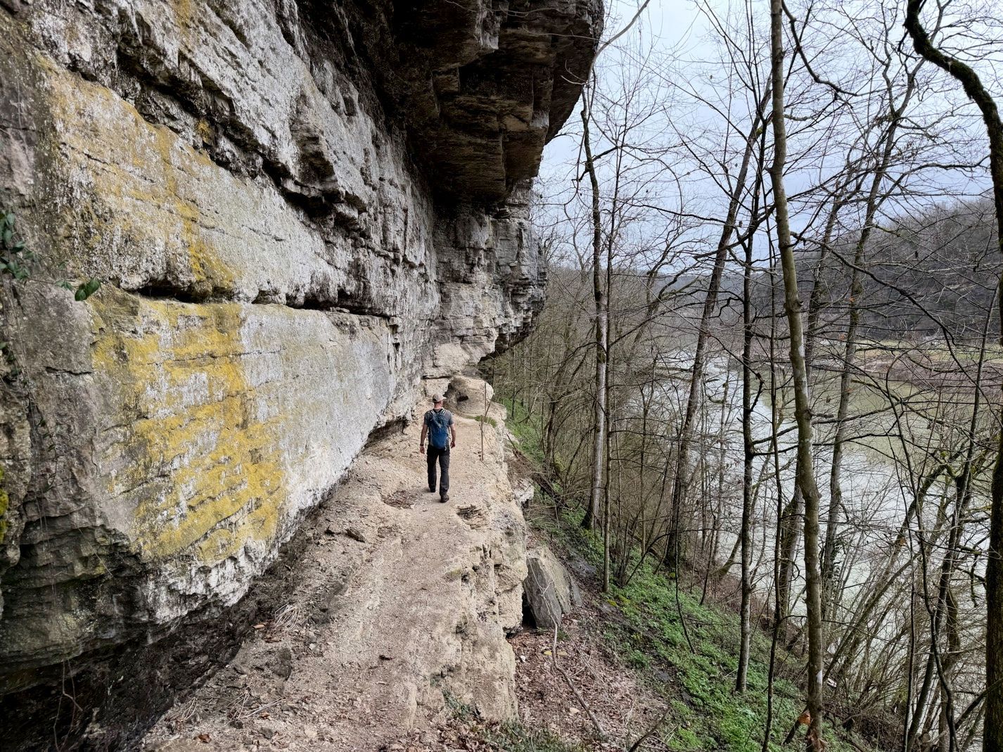 bat hibernacula survey - Volant EcoServices