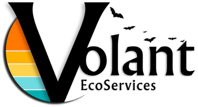 Volant EcoServices, LLC - Ecological Consulting and Bat Survey Services