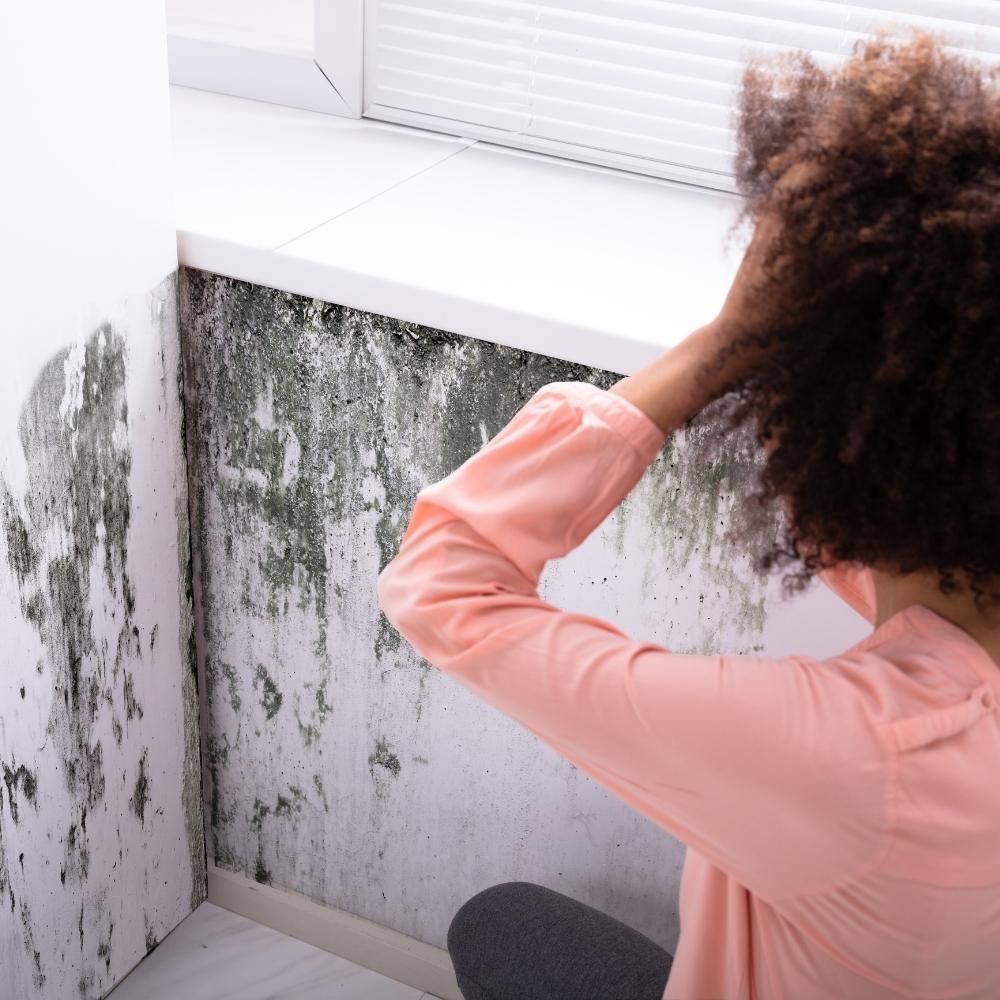 A woman in a pink shirt is looking at a mouldy wall