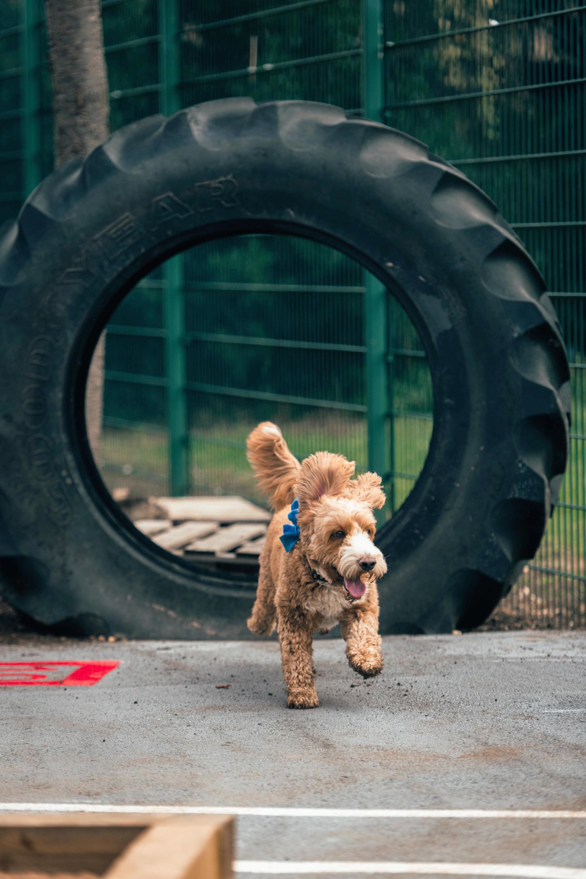 Country Kids Nursery 4