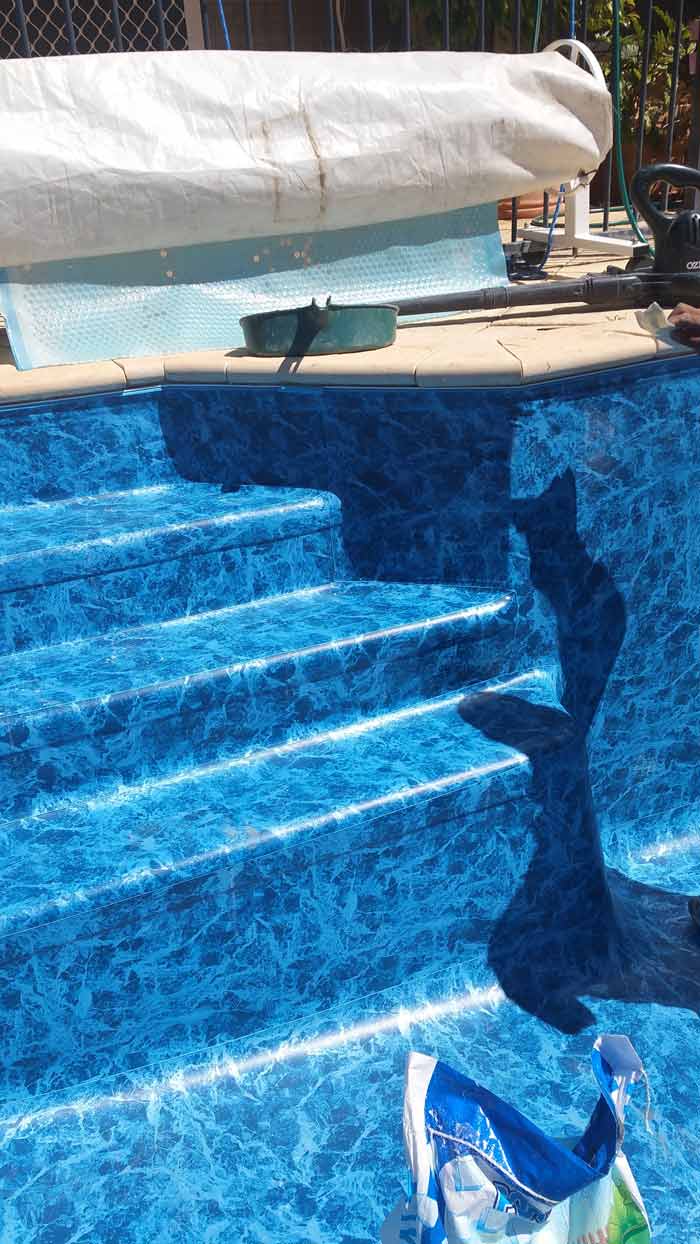 after fiberglass conversion swan view