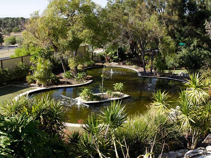large pond with trees