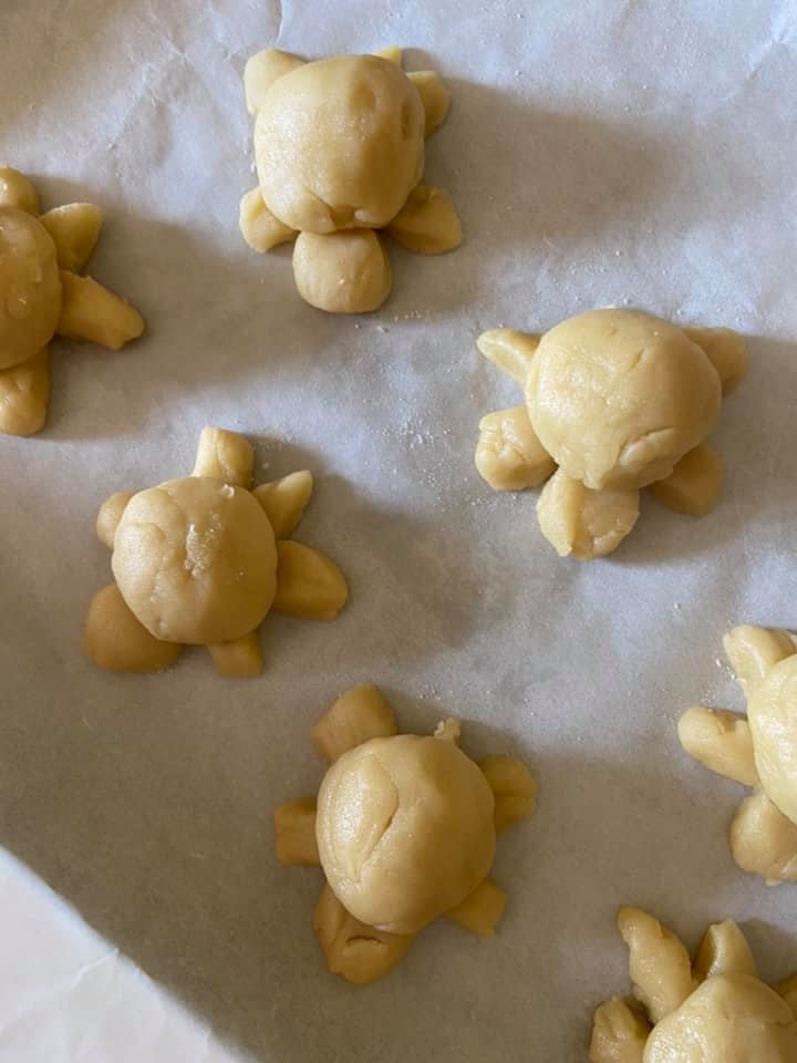 realizzazione di tartarughe in pasta di sale