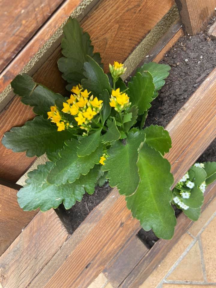 centro estivo attrezzato