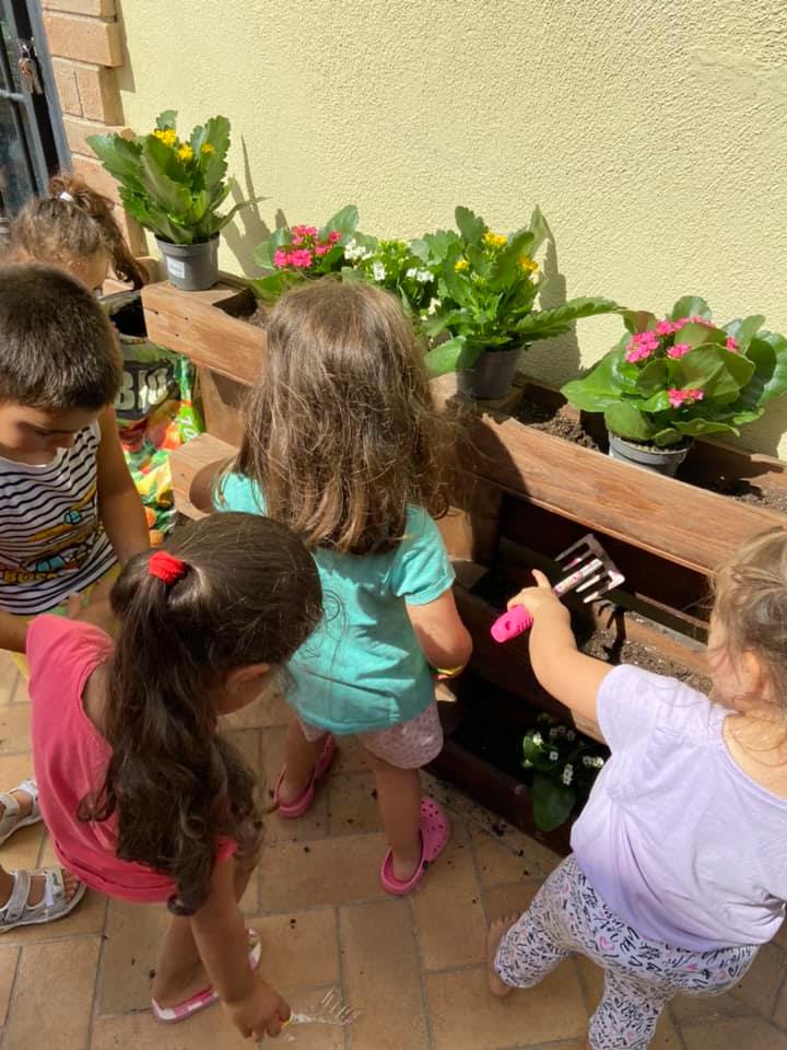 cura delle piante durante il campo estivo