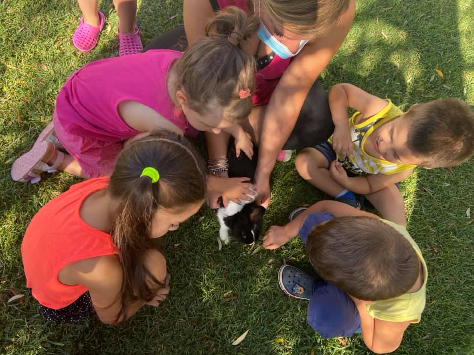 centro estivo di qualità