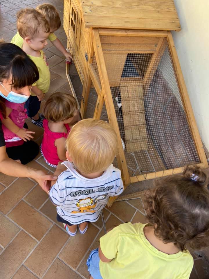 centro estivo con animali domestici