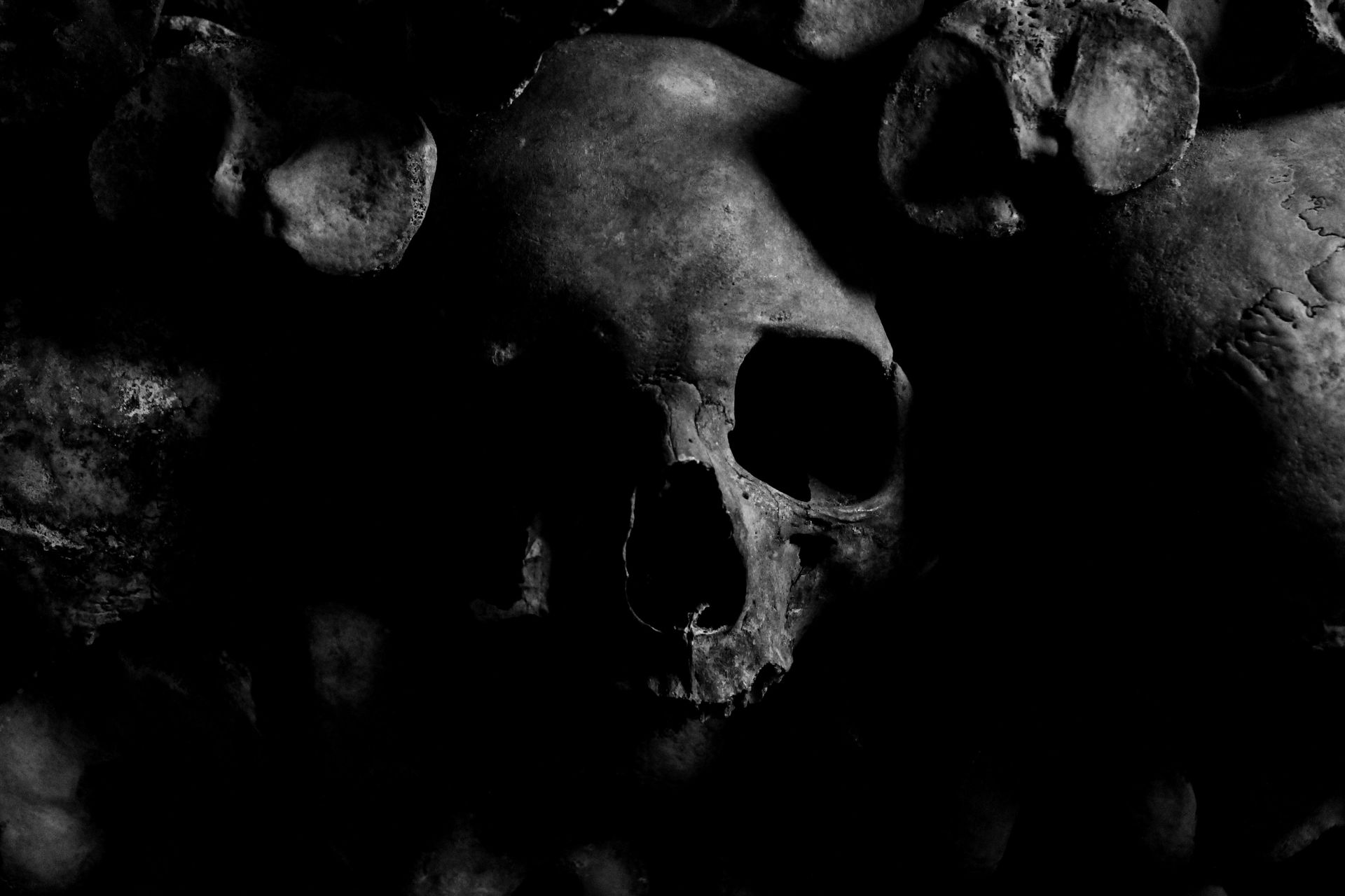 Dark picture of a skull