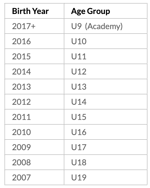 Table of birth years and corresponding youth age groups, from U9 to U19.