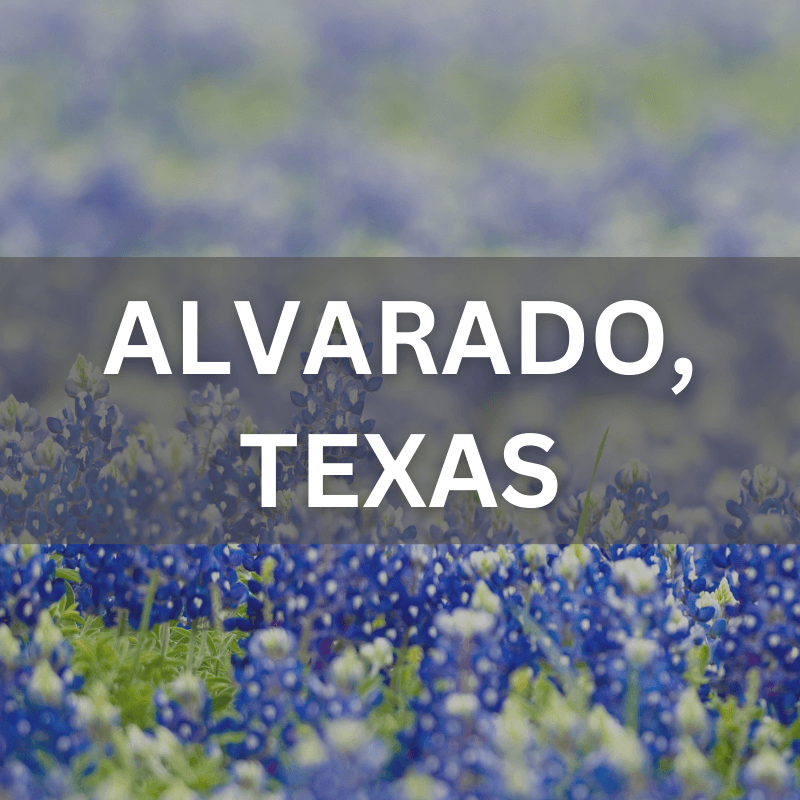 Alvarado, Texas real estate surrounded by blooming bluebonnets, showcasing local neighborhoods and natural beauty.