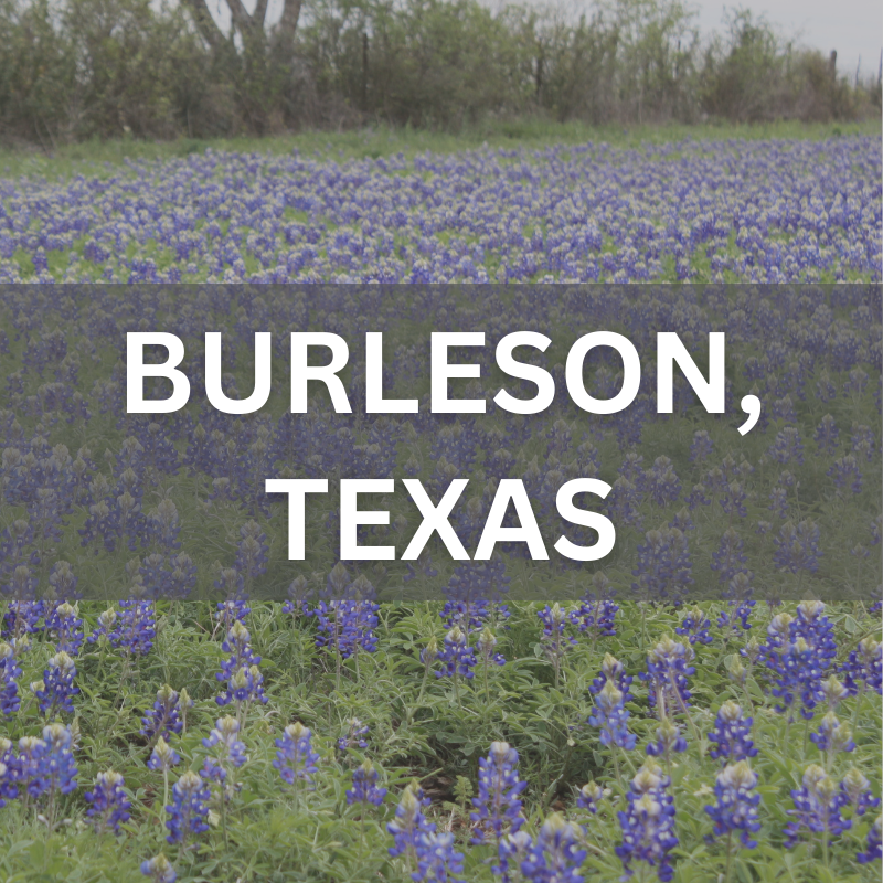 Spring bluebonnets in Burleson, TX — showcasing the natural beauty of this family-friendly real estate market