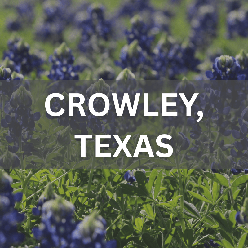 Crowley, Texas real estate surrounded by blooming bluebonnets, showcasing local neighborhoods and natural beauty.