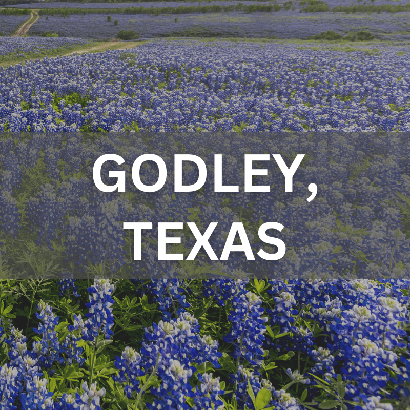 Godley, Texas real estate surrounded by blooming bluebonnets, showcasing local neighborhoods and natural beauty.