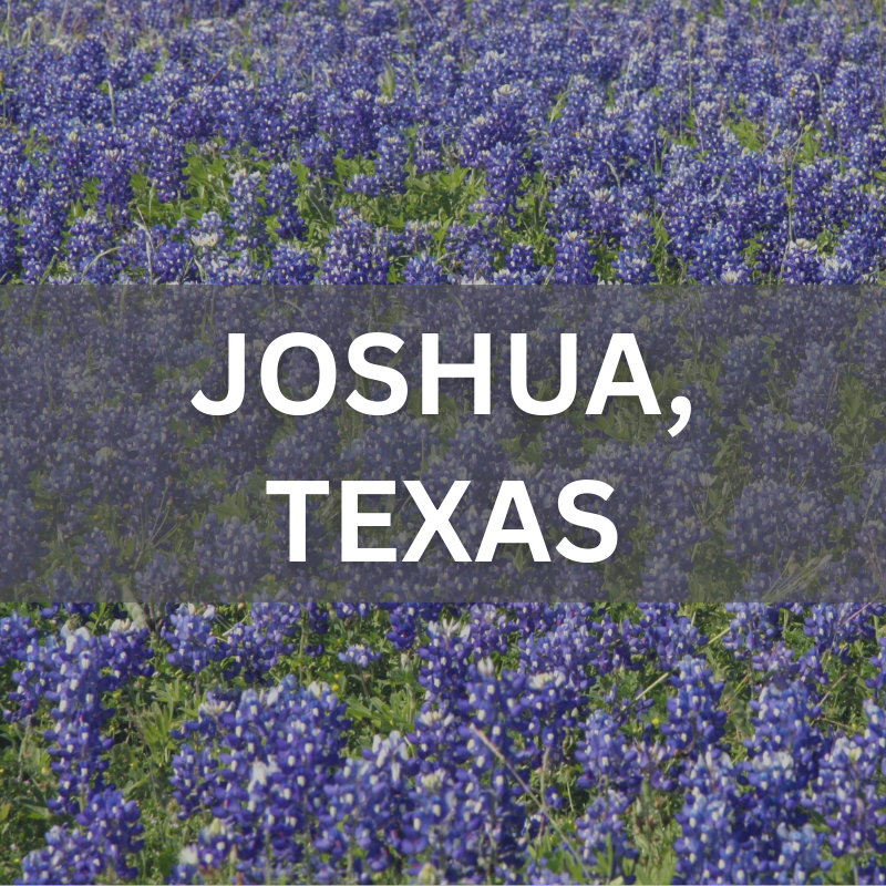 Joshua, Texas real estate surrounded by blooming bluebonnets, showcasing local neighborhoods and natural beauty.